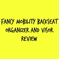 Fancy Mobility Backseat Organizer and Visor Review